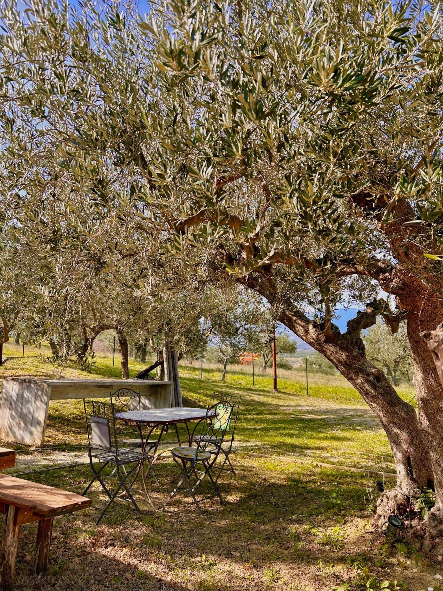 Villa Oasi Macerina Alanno Exterior foto
